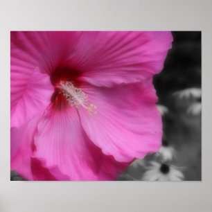 Impressão de Cor Parcial do Hibiscus Rosa Macro