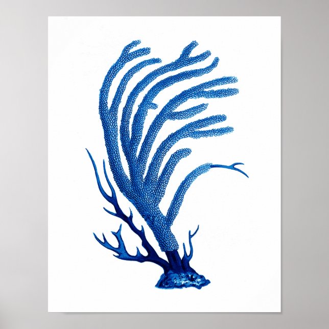 Impressão de Coral do Mar Azul nº 2 Decoração de A (Frente)