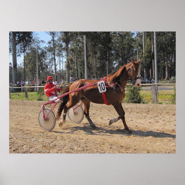 Impressão de corridas de Harness (Frente)