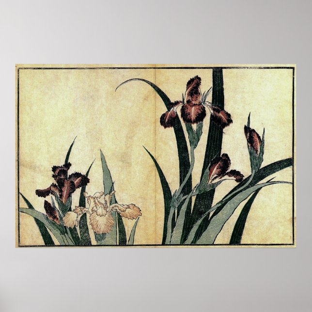 Impressão de corte de madeira Ukiyo-e de Katsushik (Frente)