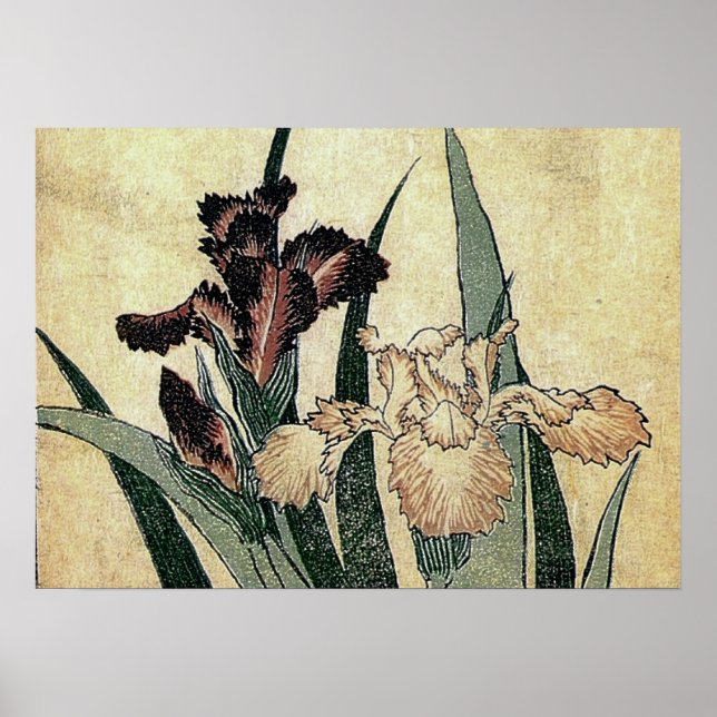 Impressão de corte de madeira Ukiyo-e de Katsushik (Frente)