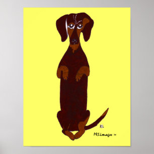 Impressão de Dachshund Sidney