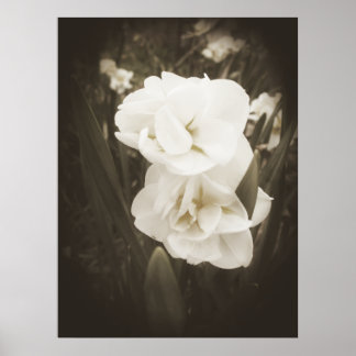 Impressão de Daffodil antigo