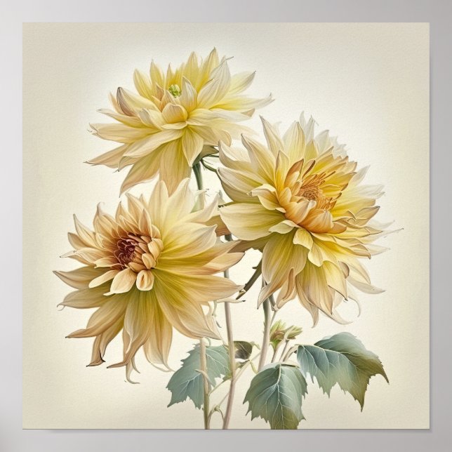 Impressão de Dahlias Flor Amarelo (Frente)