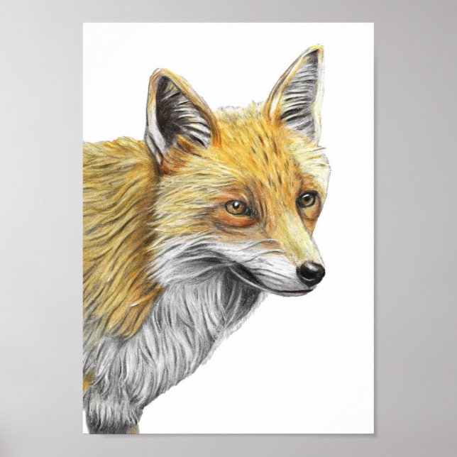 Impressão de desenho do lápis vermelho da Fox A4 (Frente)