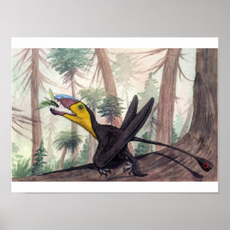 Impressão de Dimorodon