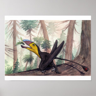 Impressão de Dimorphodon