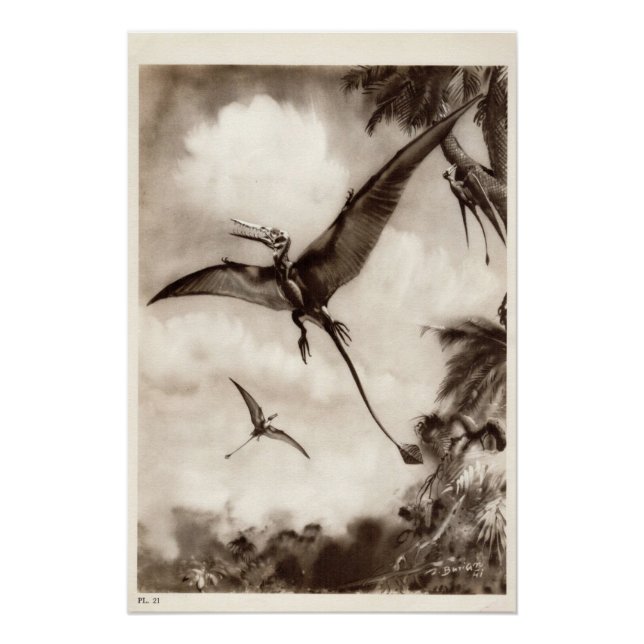 Impressão de dinossauro de Vintage #3 (Frente)