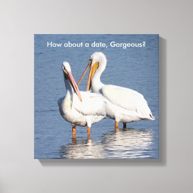 Impressão de dois pelicanos engraçados (Frente)