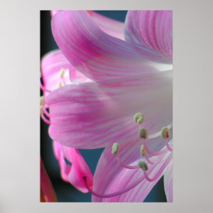 Impressão de Embrace Rosa