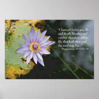 Impressão de Escritura de Desuteronomia 30:19