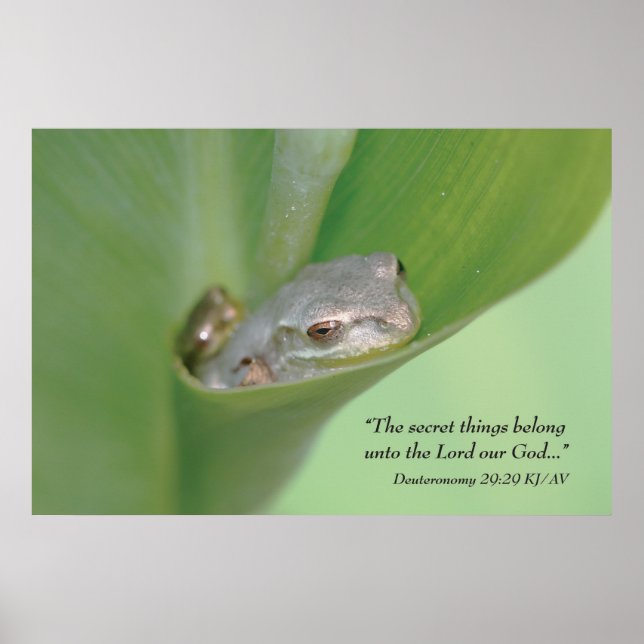 Impressão de Escritura de Deuteronomia 29:29 (Frente)