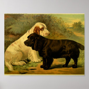 impressão de espanhol de campo de 1881 Vintage