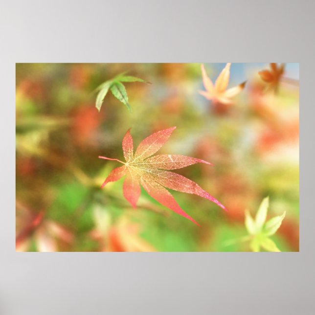 Impressão de Fall Filigree (Frente)