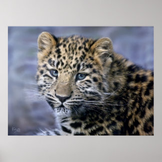 Impressão de Filhote de Leopardo
