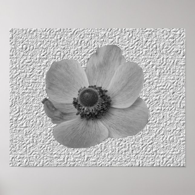 Impressão de Flor de Anêmona Vintage (Frente)