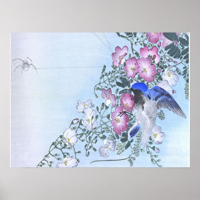 Impressão de Flor de Ave-Aranha Azul | Amantes De  (Frente)