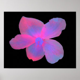 Impressão de Flor de Begônia Fluorescente