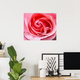 Impressão de Flor de Rosa Rosa Bonita