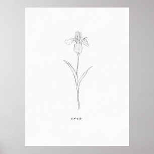 Impressão de Flor Íris