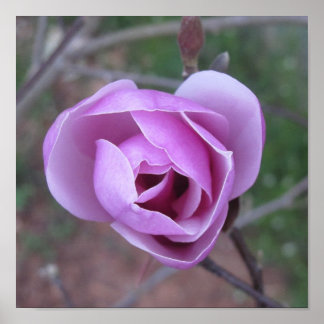 Impressão de Flor Roxo