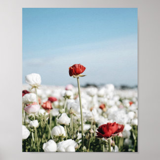 Impressão de flor vermelha, papel de pôster de val
