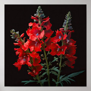 Impressão de Flor Vermelho Delphinium