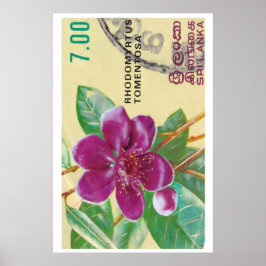 Impressão de Flor Vintage do Sri Lanka - Selo Post