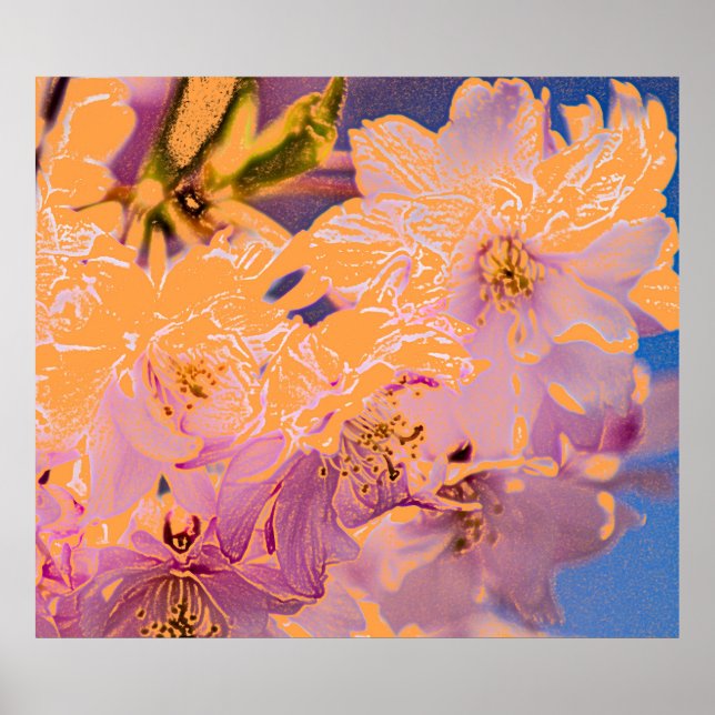 Impressão de Flores Coloridas (Frente)