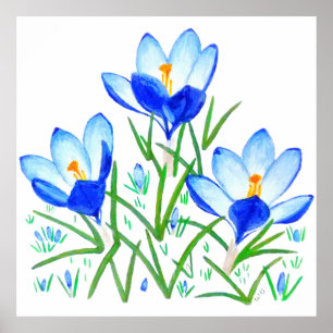 Impressão de Flores de Crocus Azul