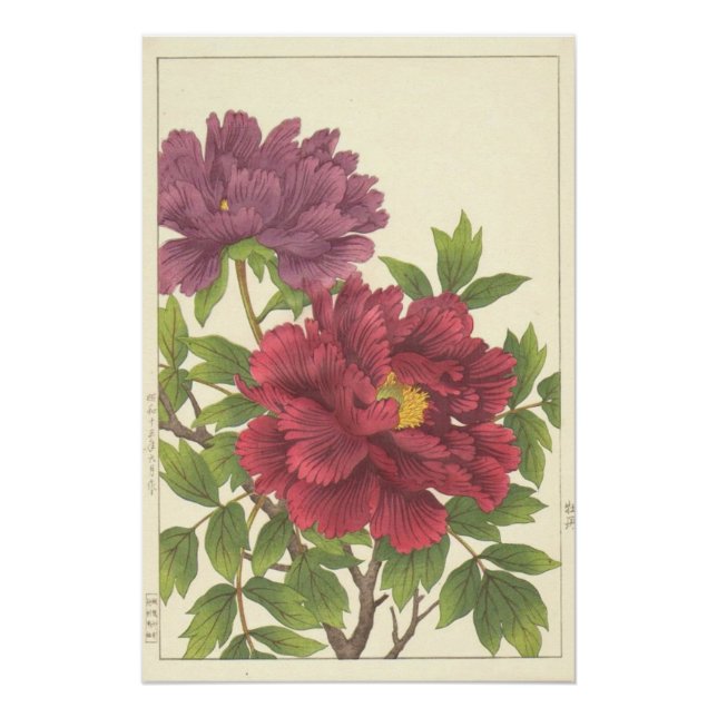 Impressão de Flores Japonesas Peônia Nishimura Hod (Frente)
