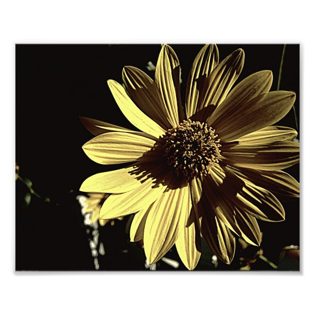 Impressão de Foto Amarelo Subduzido 10x8 (Frente)