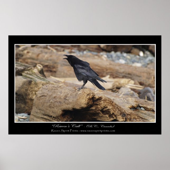 impressão de Foto "CHAMADA DE RAVEN" (Frente)