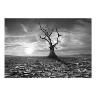Impressão de Foto de Árvore no Deserto