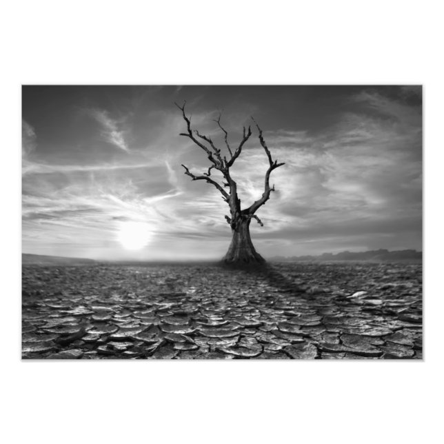 Impressão de Foto de Árvore no Deserto (Frente)