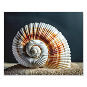 Impressão de Foto de Concha do Mar