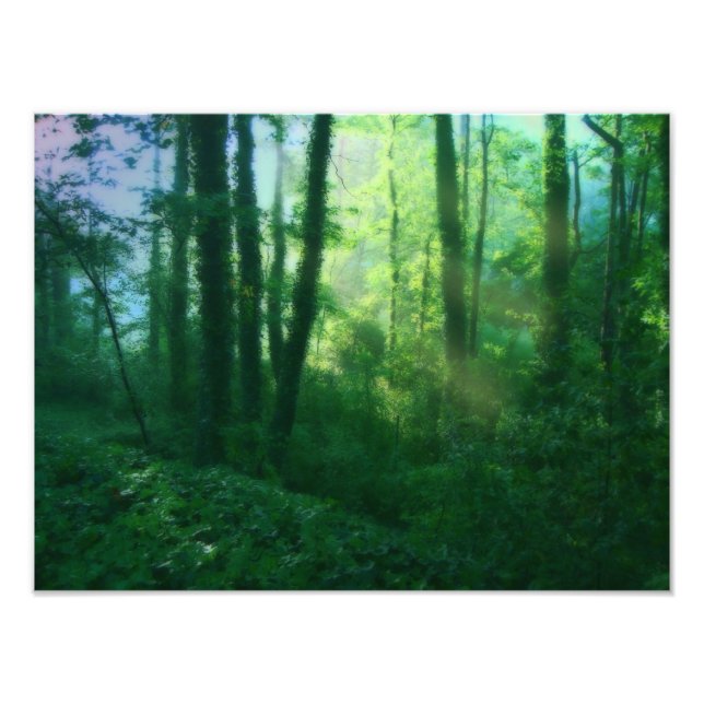 Impressão de Foto de Fertilidade (Frente)