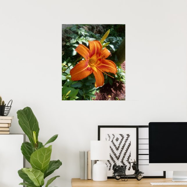 Impressão de Foto de Flor de Hemerocallis Laranja (Escritório em casa)