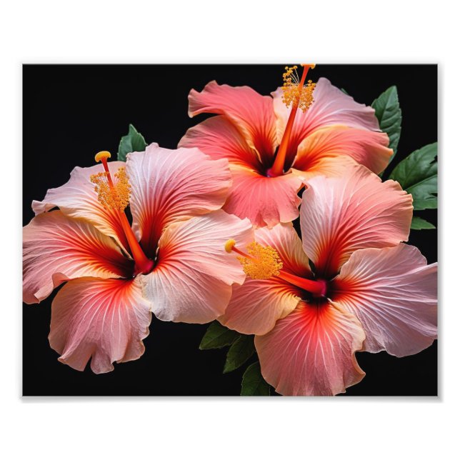 Impressão de Foto de Flores Tropicais (Frente)