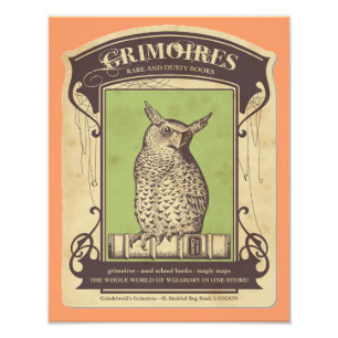 Impressão de Foto de Grimoires Owl