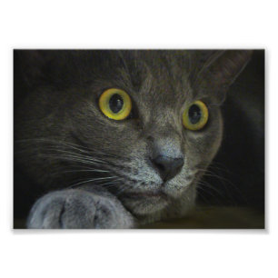 Impressão de Foto de Intensidade