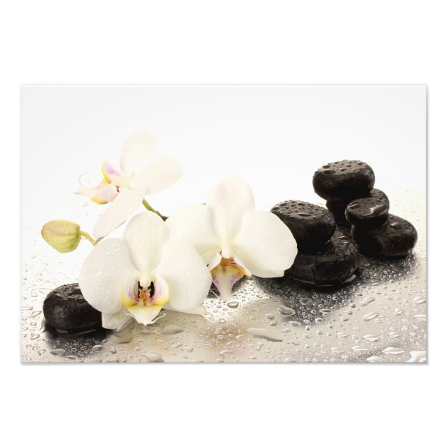 Impressão de Foto de Orquídeas (Frente)