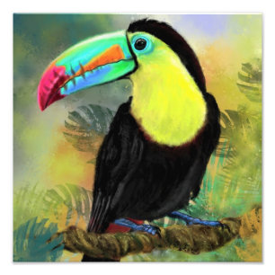 Impressão de Foto de Pássaro Toco Tropical - Pintu