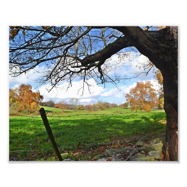 Impressão de Foto de Pasto no Outono (Frente)