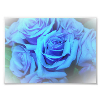 Impressão de Foto de Rosas Azuis