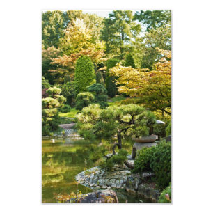 Impressão de foto do jardim japonês