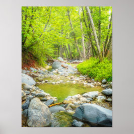 Impressão de Foto Forest Creek | Arte de Floresta 