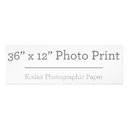 Impressão de Foto Personalizada 36 x 12