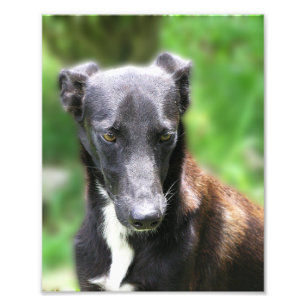 Impressão de Foto Personalizada 8 X 10