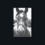Impressão de Foto Retrato de Cavalo Negro e Branco<br><div class="desc">Uma bela fotografia de cavalo preto e branco que será um sotaque perfeito para a sua casa ou escritório.</div>